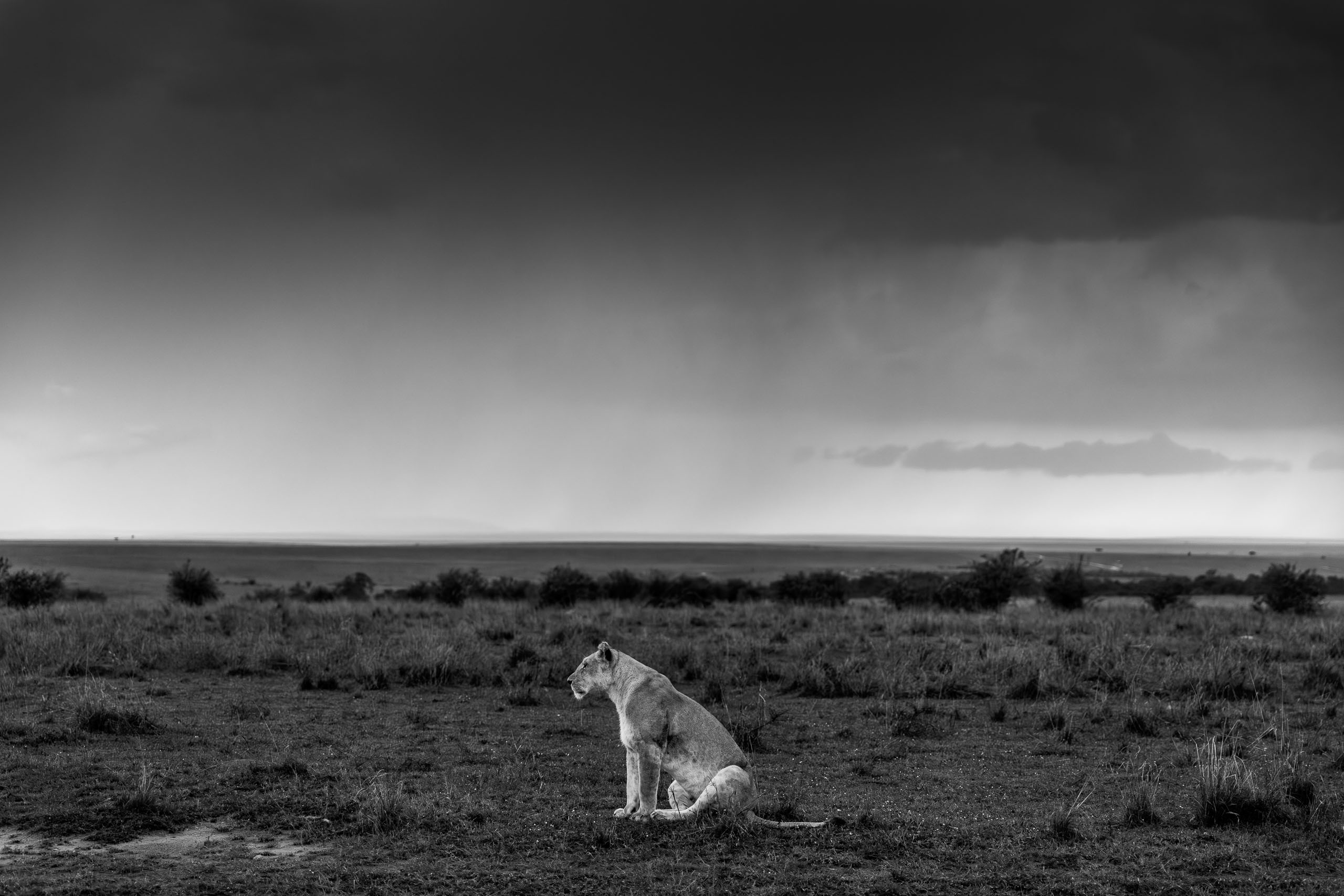 18421904012026004 ©SimonePaleari